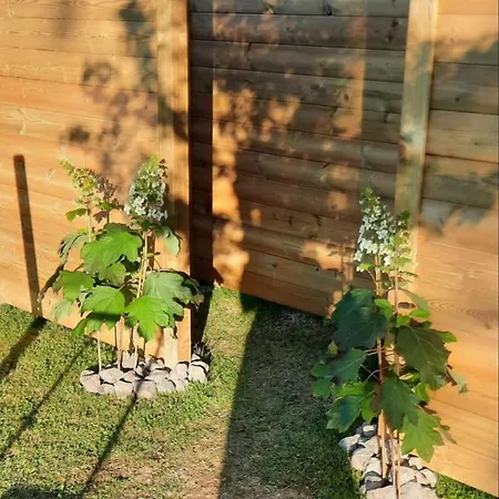 Au Clair De Ma Bulle مارشه ان فامن