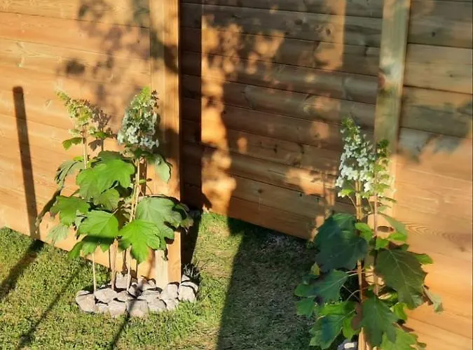 Au Clair De Ma Bulle Marche-en-Famenne