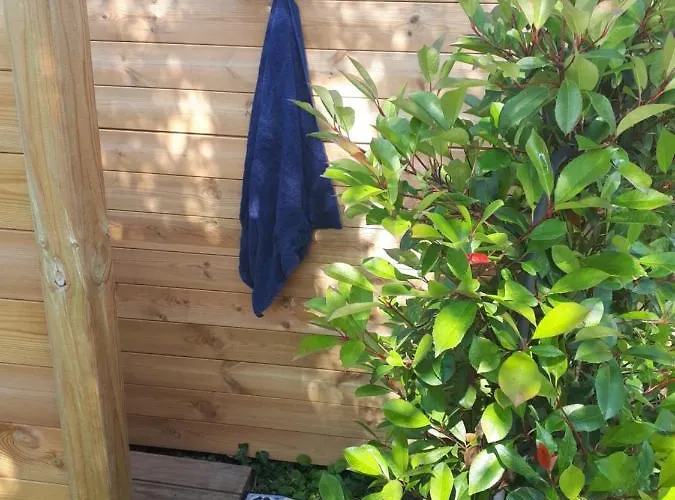 Au Clair De Ma Bulle