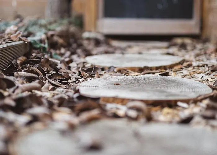 Au Clair De Ma Bulle * Marche-en-Famenne